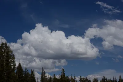 DSC_3177 (Large).JPG